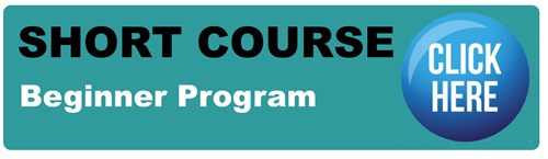 Short course beginner program